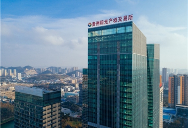 圍繞國發(fā)2號文件精神  聚力“強省會(huì )”五年行動(dòng)  打造綜合性要素交易平臺