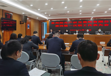 貴州陽(yáng)光產(chǎn)權第四屆一次職工代表大會(huì )成功召開(kāi)