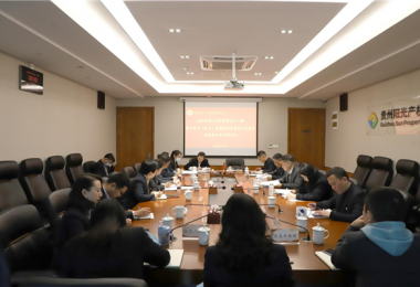 貴州陽(yáng)光產(chǎn)權交易所黨委召開(kāi)2023年第1次黨委理論學(xué)習中心組集中學(xué)習（擴大）會(huì )暨2022年度民主生活會(huì )會(huì )前集中學(xué)習