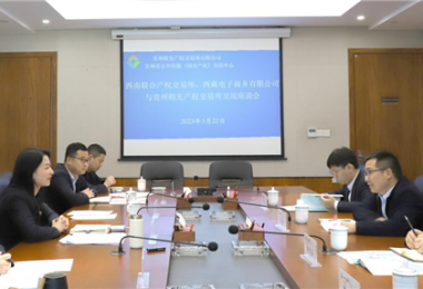 經(jīng)驗交流  共促發(fā)展——西南聯(lián)合產(chǎn)權交易所、西藏電子商務(wù)有限公司 與貴州陽(yáng)光產(chǎn)權交易所交流座談