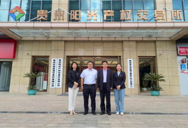 深入交流  共商發(fā)展——廣西北部灣產(chǎn)權交易所集團股份有限公司與貴州陽(yáng)光產(chǎn)權交易所開(kāi)展交流座談