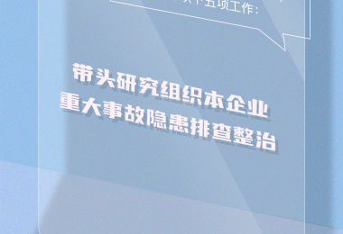 12345，1234567！@企業(yè)主要負責人