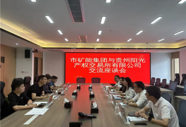 深化交流謀合作  攜手共贏(yíng)促發(fā)展——貴州陽(yáng)光產(chǎn)權交易所與貴陽(yáng)市礦產(chǎn)能源投資集團有限公司開(kāi)展座談交流