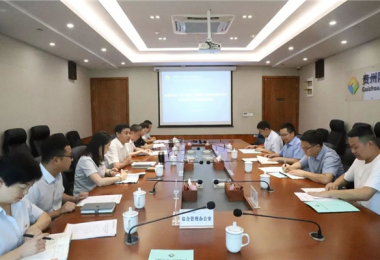 西南聯(lián)合產(chǎn)權交易所、西藏電子商務(wù)有限公司與貴州陽(yáng)光產(chǎn)權交易所交流座談會(huì )