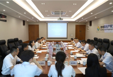 資源互補 共謀發(fā)展——貴州省資產(chǎn)管理公司與貴州陽(yáng)光產(chǎn)權交易所召開(kāi)交流座談會(huì )