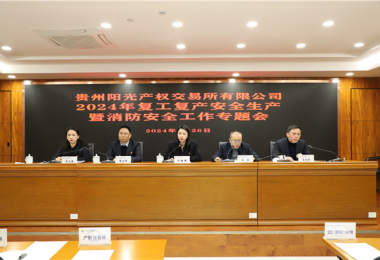 開(kāi)足馬力 全力以“復” ——貴州陽(yáng)光產(chǎn)權交易所召開(kāi)2024年復工復產(chǎn)安全生產(chǎn)暨消防安全工作專(zhuān)題會(huì )