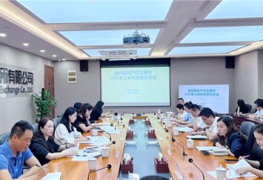 貴州陽(yáng)光產(chǎn)權交易所召開(kāi)2025年上半年經(jīng)營(yíng)分析會(huì )