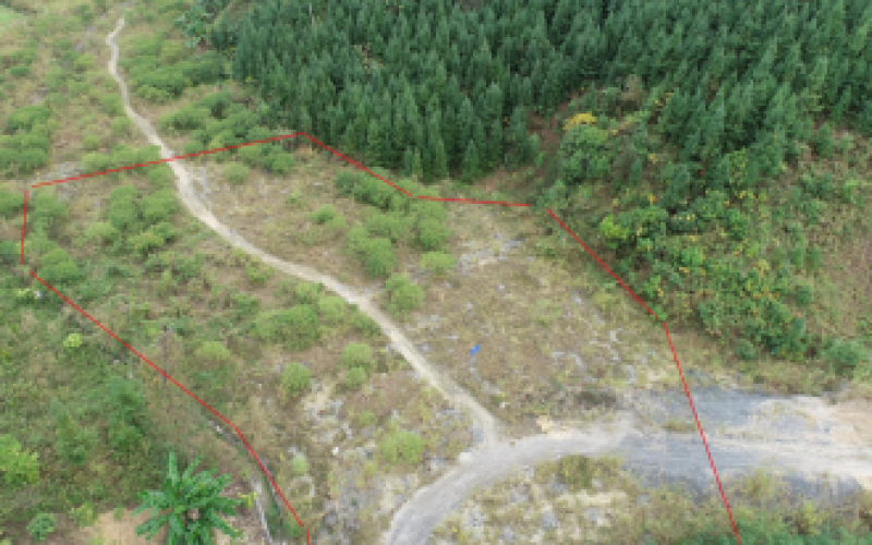 S62余安高速羅望段土地使用權招租（填平區2）