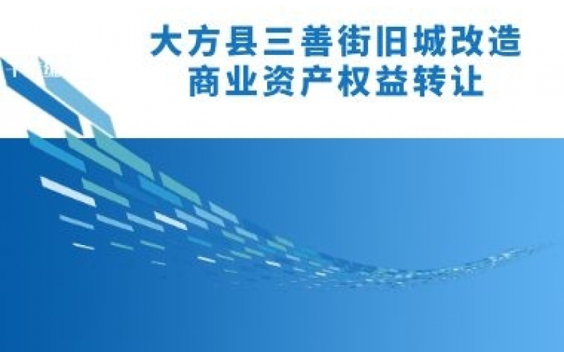 大方縣三善街舊城改造商業(yè)資產(chǎn)權益轉讓