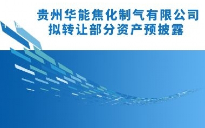 貴州華能焦化制氣有限公司擬轉讓部分資產(chǎn)預披露