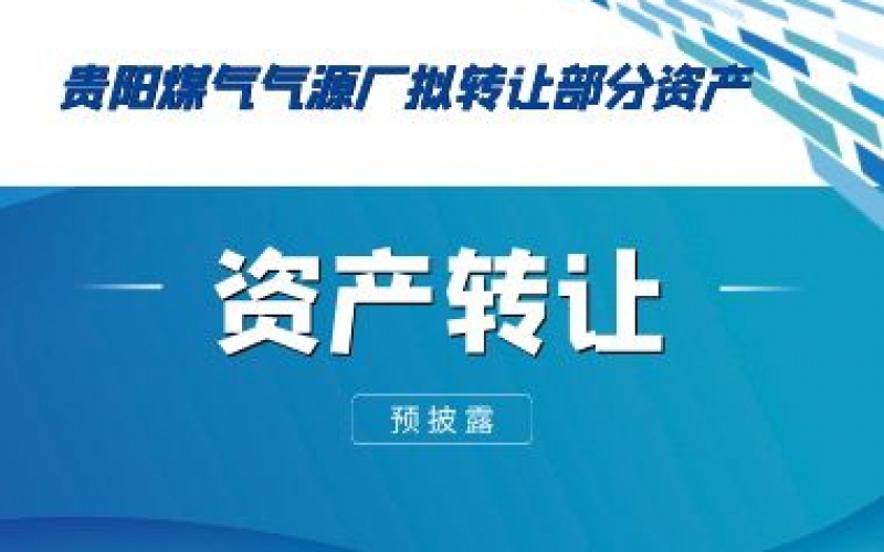 （預披露）貴陽(yáng)煤氣氣源廠(chǎng)擬轉讓部分資產(chǎn)預披露