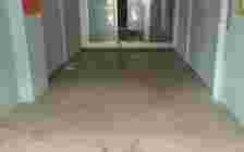 貴陽(yáng)市南明區外環(huán)城南路98號部分房產(chǎn)招租（延期）